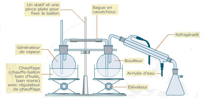 Entraînement à la vapeur